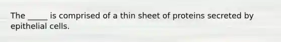 The _____ is comprised of a thin sheet of proteins secreted by epithelial cells.