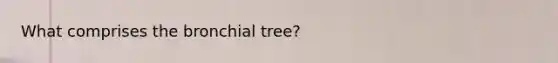 What comprises the bronchial tree?