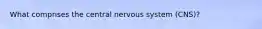 What comprises the central nervous system (CNS)?