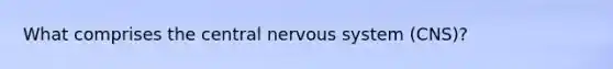 What comprises the central nervous system (CNS)?