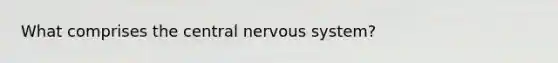 What comprises the central nervous system?