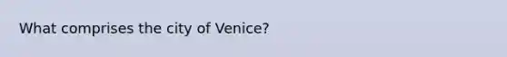 What comprises the city of Venice?