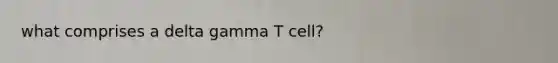 what comprises a delta gamma T cell?