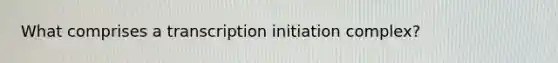 What comprises a transcription initiation complex?