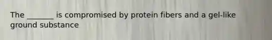 The _______ is compromised by protein fibers and a gel-like ground substance