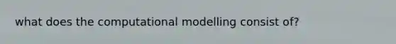 what does the computational modelling consist of?