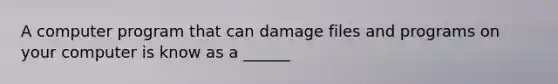 A computer program that can damage files and programs on your computer is know as a ______