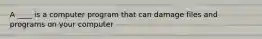 A ____ is a computer program that can damage files and programs on your computer