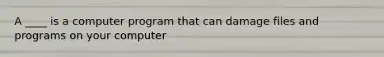 A ____ is a computer program that can damage files and programs on your computer
