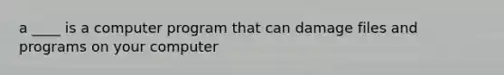 a ____ is a computer program that can damage files and programs on your computer