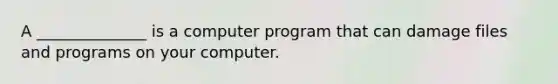 A ______________ is a computer program that can damage files and programs on your computer.