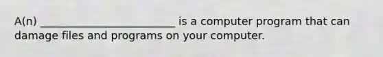 A(n) _________________________ is a computer program that can damage files and programs on your computer.