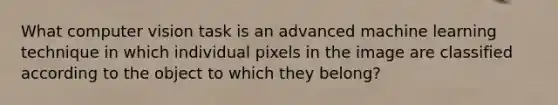 What computer vision task is an advanced machine learning technique in which individual pixels in the image are classified according to the object to which they belong?