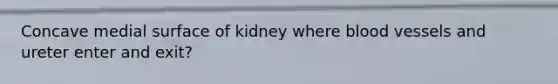 Concave medial surface of kidney where blood vessels and ureter enter and exit?