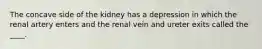 The concave side of the kidney has a depression in which the renal artery enters and the renal vein and ureter exits called the ____.