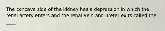 The concave side of the kidney has a depression in which the renal artery enters and the renal vein and ureter exits called the ____.