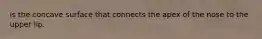 is the concave surface that connects the apex of the nose to the upper lip.