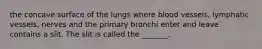 the concave surface of the lungs where blood vessels, lymphatic vessels, nerves and the primary bronchi enter and leave contains a slit. The slit is called the _______.