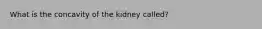 What is the concavity of the kidney called?