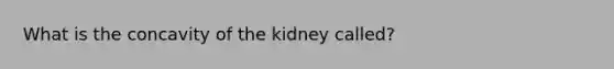 What is the concavity of the kidney called?