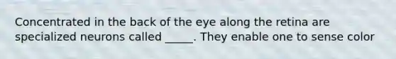 Concentrated in the back of the eye along the retina are specialized neurons called _____. They enable one to sense color