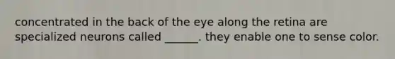 concentrated in the back of the eye along the retina are specialized neurons called ______. they enable one to sense color.