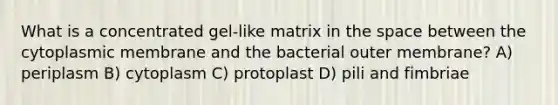 What is a concentrated gel-like matrix in the space between the cytoplasmic membrane and the bacterial outer membrane? A) periplasm B) cytoplasm C) protoplast D) pili and fimbriae