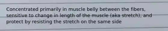 Concentrated primarily in muscle belly between the fibers, sensitive to change in length of the muscle (aka stretch), and protect by resisting the stretch on the same side