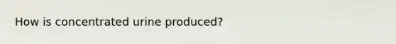 How is concentrated urine produced?