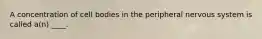 A concentration of cell bodies in the peripheral nervous system is called a(n) ____.