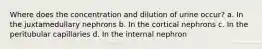 Where does the concentration and dilution of urine occur? a. In the juxtamedullary nephrons b. In the cortical nephrons c. In the peritubular capillaries d. In the internal nephron