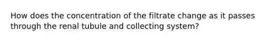 How does the concentration of the filtrate change as it passes through the renal tubule and collecting system?