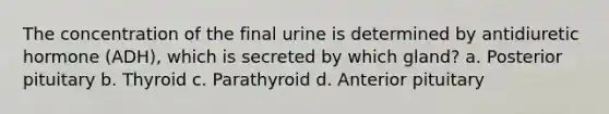 The concentration of the final urine is determined by antidiuretic hormone (ADH), which is secreted by which gland? a. Posterior pituitary b. Thyroid c. Parathyroid d. Anterior pituitary