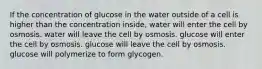 If the concentration of glucose in the water outside of a cell is higher than the concentration inside, water will enter the cell by osmosis. water will leave the cell by osmosis. glucose will enter the cell by osmosis. glucose will leave the cell by osmosis. glucose will polymerize to form glycogen.