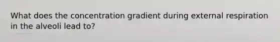 What does the concentration gradient during external respiration in the alveoli lead to?