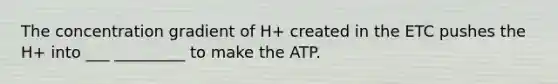 The concentration gradient of H+ created in the ETC pushes the H+ into ___ _________ to make the ATP.