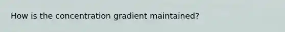 How is the concentration gradient maintained?