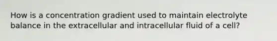 How is a concentration gradient used to maintain electrolyte balance in the extracellular and intracellular fluid of a cell?