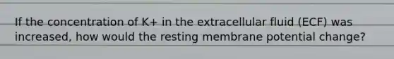 If the concentration of K+ in the extracellular fluid (ECF) was increased, how would the resting membrane potential change?