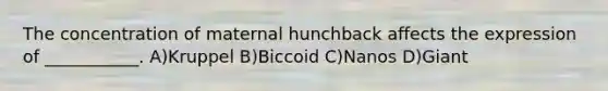 The concentration of maternal hunchback affects the expression of ___________. A)Kruppel B)Biccoid C)Nanos D)Giant