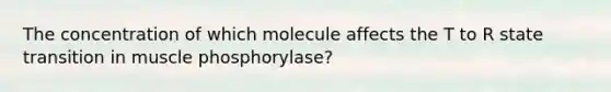 The concentration of which molecule affects the T to R state transition in muscle phosphorylase?