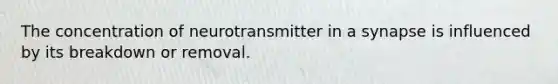 The concentration of neurotransmitter in a synapse is influenced by its breakdown or removal.