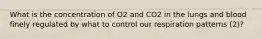 What is the concentration of O2 and CO2 in the lungs and blood finely regulated by what to control our respiration patterns (2)?