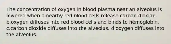 The concentration of oxygen in blood plasma near an alveolus is lowered when a.nearby red blood cells release carbon dioxide. b.oxygen diffuses into red blood cells and binds to hemoglobin. c.carbon dioxide diffuses into the alveolus. d.oxygen diffuses into the alveolus.