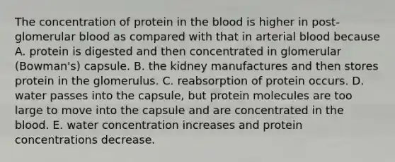 The concentration of protein in the blood is higher in post-glomerular blood as compared with that in arterial blood because A. protein is digested and then concentrated in glomerular (Bowman's) capsule. B. the kidney manufactures and then stores protein in the glomerulus. C. reabsorption of protein occurs. D. water passes into the capsule, but protein molecules are too large to move into the capsule and are concentrated in the blood. E. water concentration increases and protein concentrations decrease.