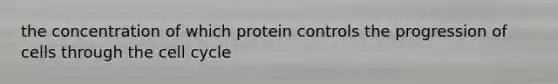 the concentration of which protein controls the progression of cells through the cell cycle