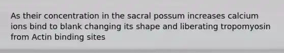 As their concentration in the sacral possum increases calcium ions bind to blank changing its shape and liberating tropomyosin from Actin binding sites