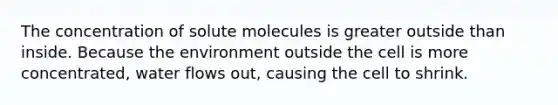 The concentration of solute molecules is greater outside than inside. Because the environment outside the cell is more concentrated, water flows out, causing the cell to shrink.