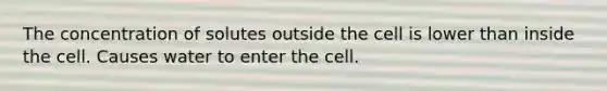 The concentration of solutes outside the cell is lower than inside the cell. Causes water to enter the cell.