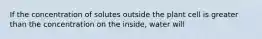 If the concentration of solutes outside the plant cell is greater than the concentration on the inside, water will